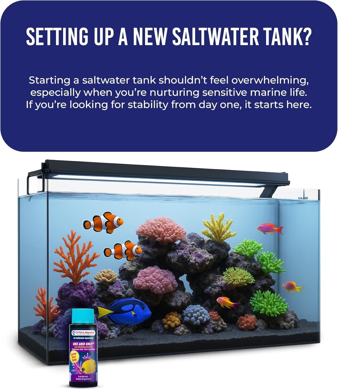 Dr Tim's Aquatics Jedyne w swoim rodzaju bakterie nitryfikujące w słonej wodzie – do nowych zbiorników rybnych, akwariów, filtrowania wody, leczenia chorób - H20 Pure Fish Tank Cleaner - usuwa toksyny