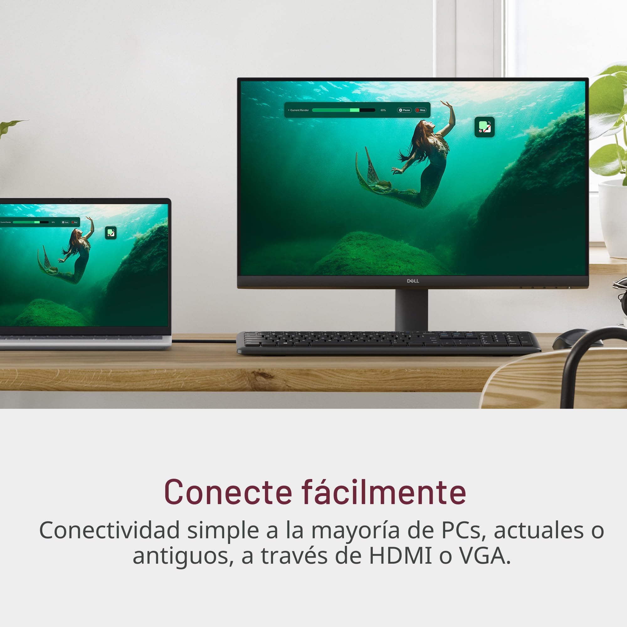 Amazon.com: Dell Monitor 24 - SE2425HM - Pantalla Full HD de 23.8