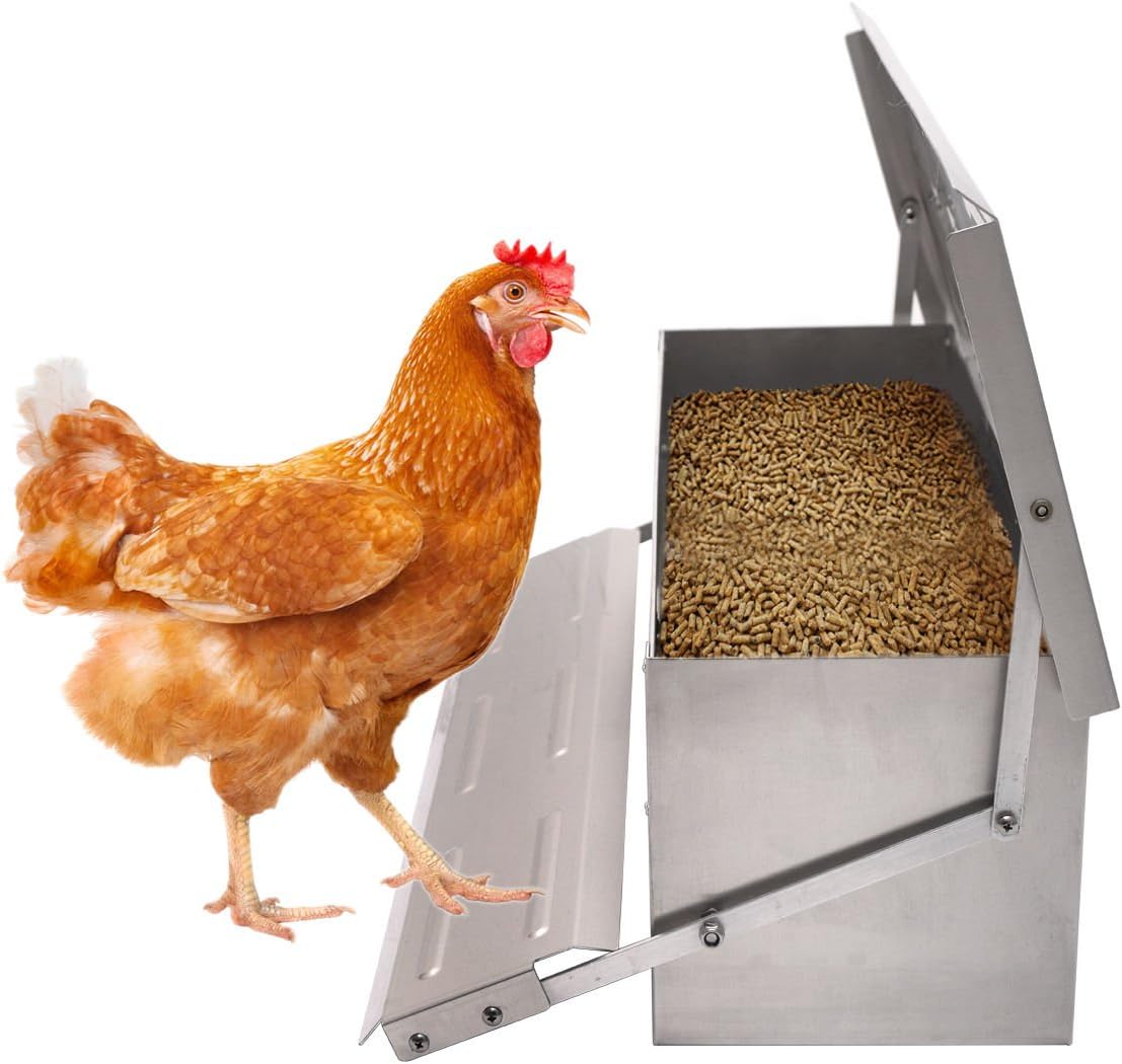 electronic chicken feeder