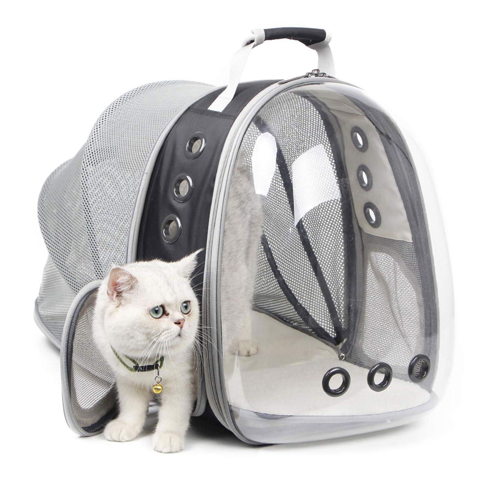 Sac à dos extensible en maille entièrement respirante pour chat et petit chien jusqu'à 5,4 kg, approuvé par les compagnies aériennes pour la randonnée, la marche, le camping