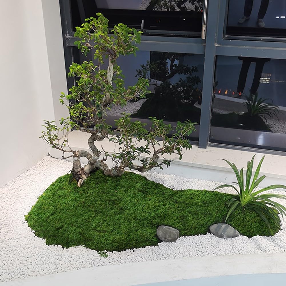 Pelouse de mousse filamenteuse pour pots de bonsaï d'intérieur, mousse artificielle pour décoration florale et plantes (vert foncé)