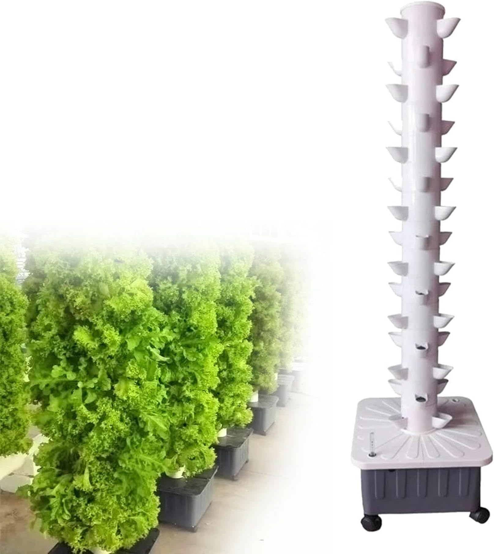 WTAILYSOUE Hydroponic tower for indoor hydroponic growing of herbs, fruits and vegetables - Aeroponic tower with water replenishment pump, timer, adapter for herbs, fruits and vegetables