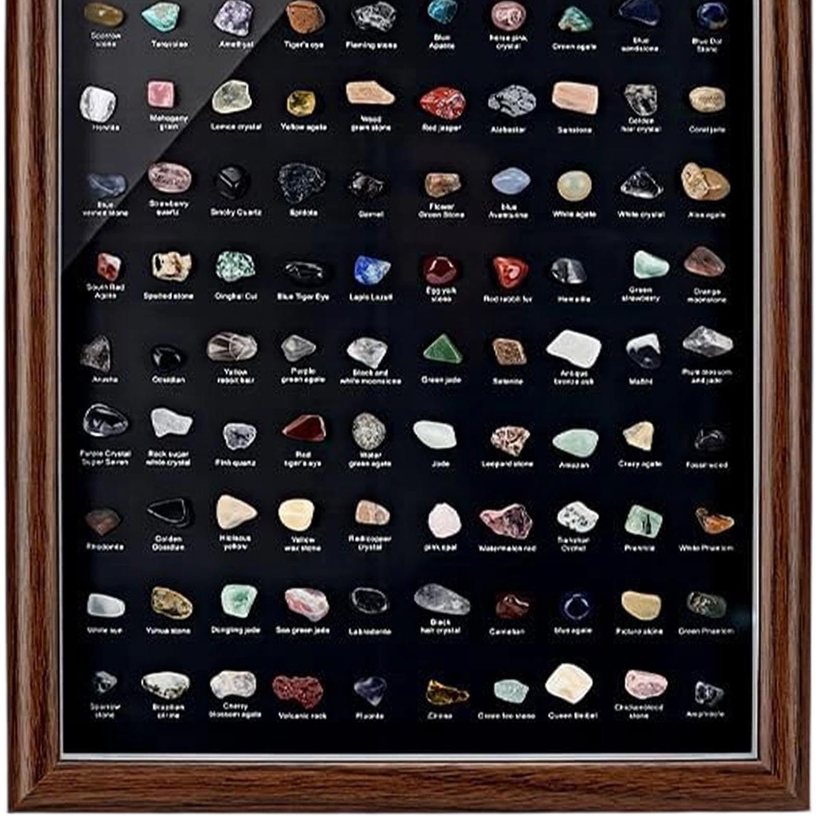 Rock Collection for Kids - Geological Discovery Kit, Mineral Proben Set, Educational Stones Storage Box, Assorted Earth Science Treasures, Hobbyist Accessory for Academic Exploration