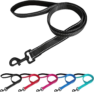 Beshine Padded Handle Dog Lead, 1.2m x 2cm Durable Reflective Nylon Dog Leash for Small, Medium Dogs, Black