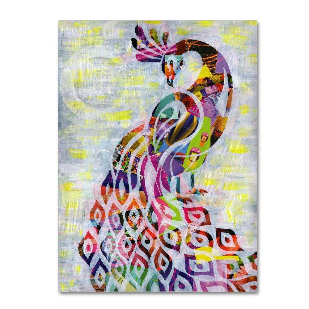 Peacock by Artpoptart, 14x19-Inch Canvas Wall Art