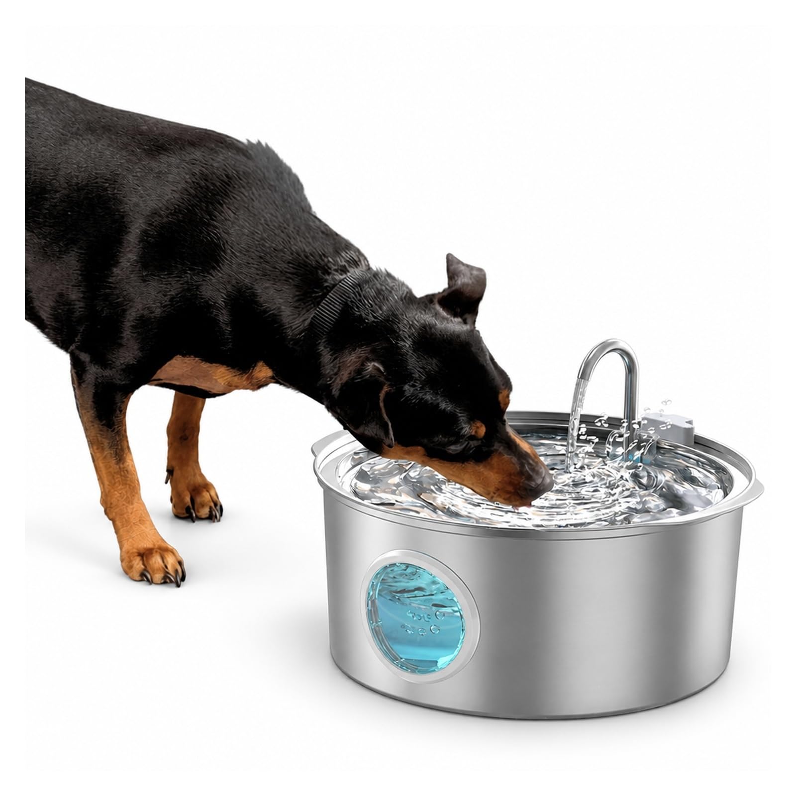 Fontanella per animali domestici, Fontana per animali domestici in acciaio inossidabile 304 da 7 litri