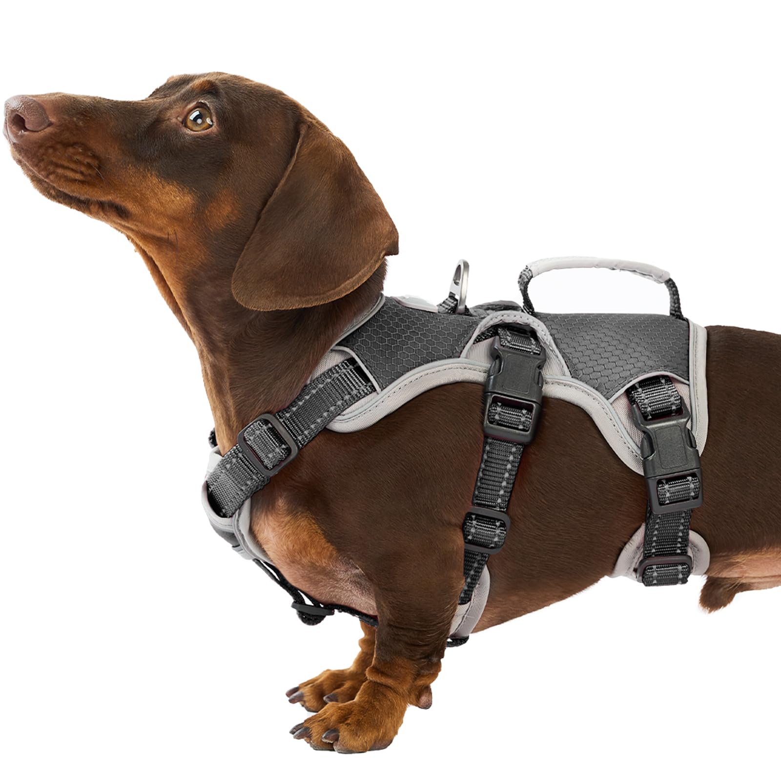 Huntboo Escape Proof Dog Harness