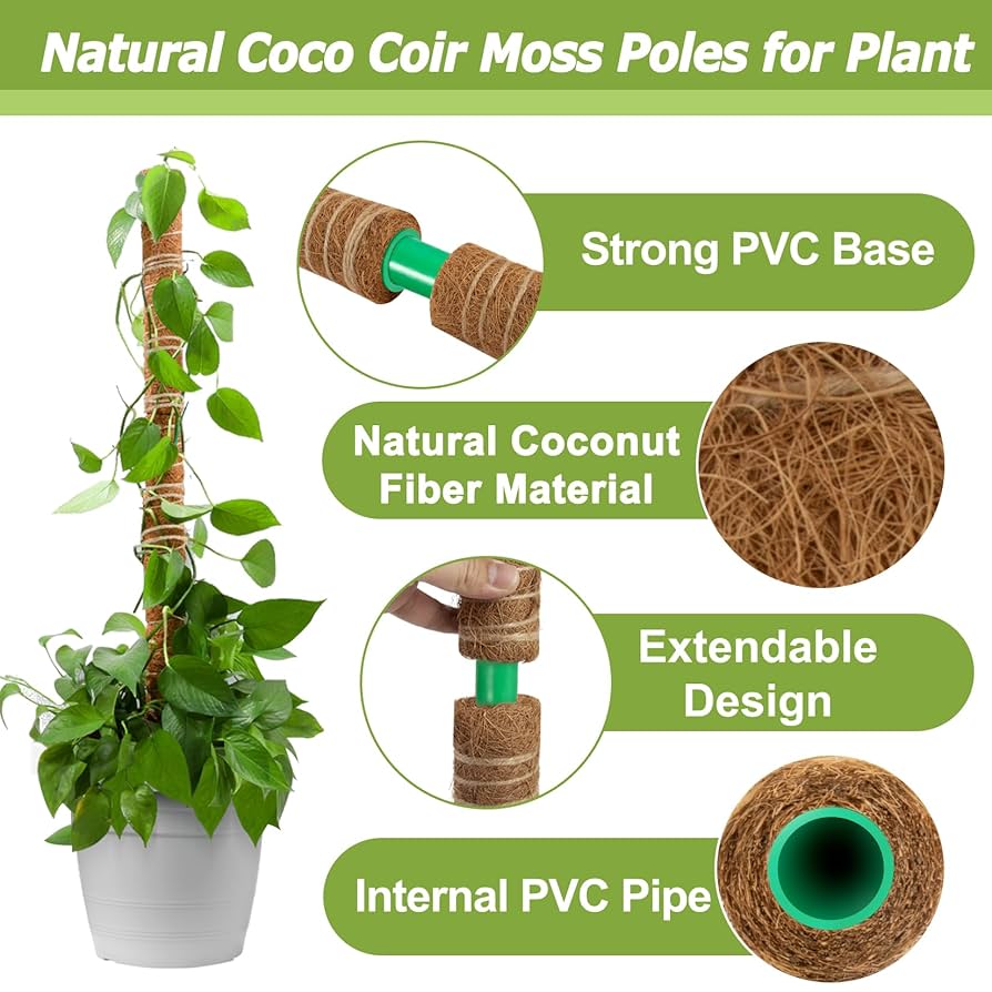 Moss boards Q57 22-23　MOSS STICK Amazon.com : 4 Pack 22 Inch Moss Poles, Stackable Moss Pole