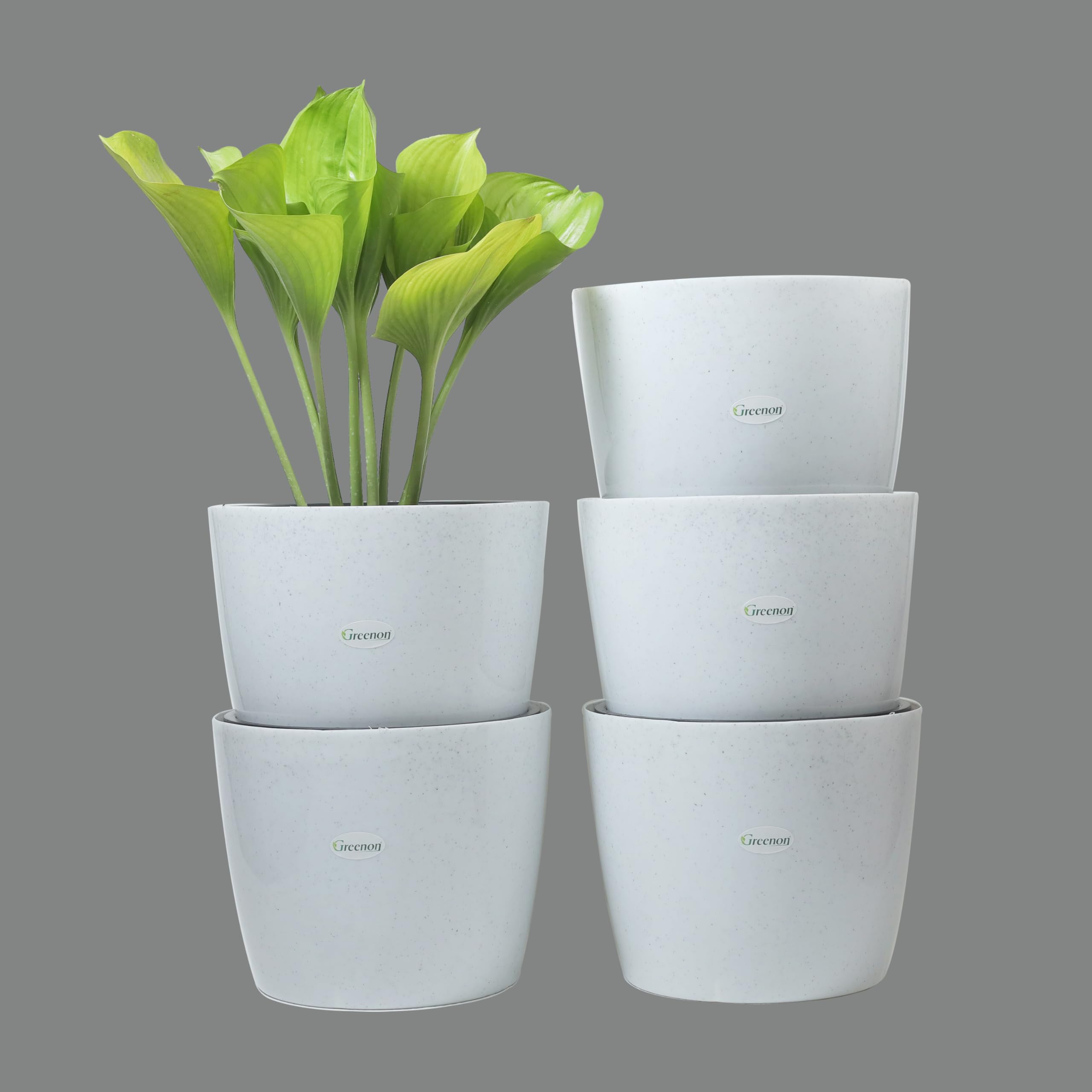GREENON® 10 Inch Plant Pot Pack of 5 (10 Pots) Self Water | DOTT White Outer and Black Inner Planter | Unfadable Flower Pot | for Indoor and Balcony | UV Treated | Big Virgin Plastic Gamla (B09B5KWSN3) Amazon Price History, Amazon Price Tracker