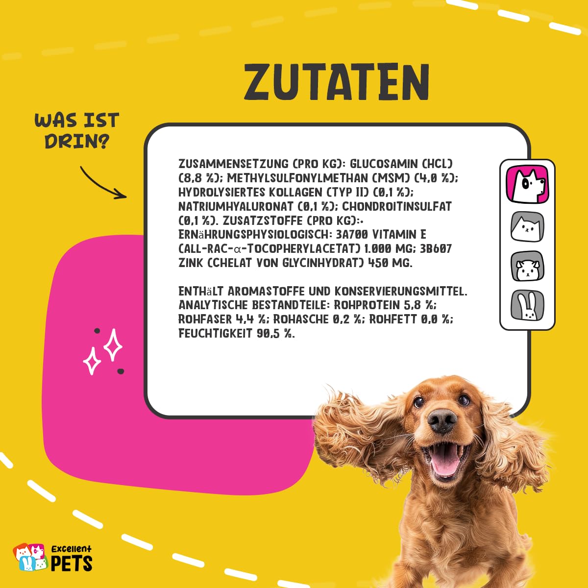 Holland Animal Care Nahrungsergänzung Dog Flex, 1er Pack (1 x 500 ml)