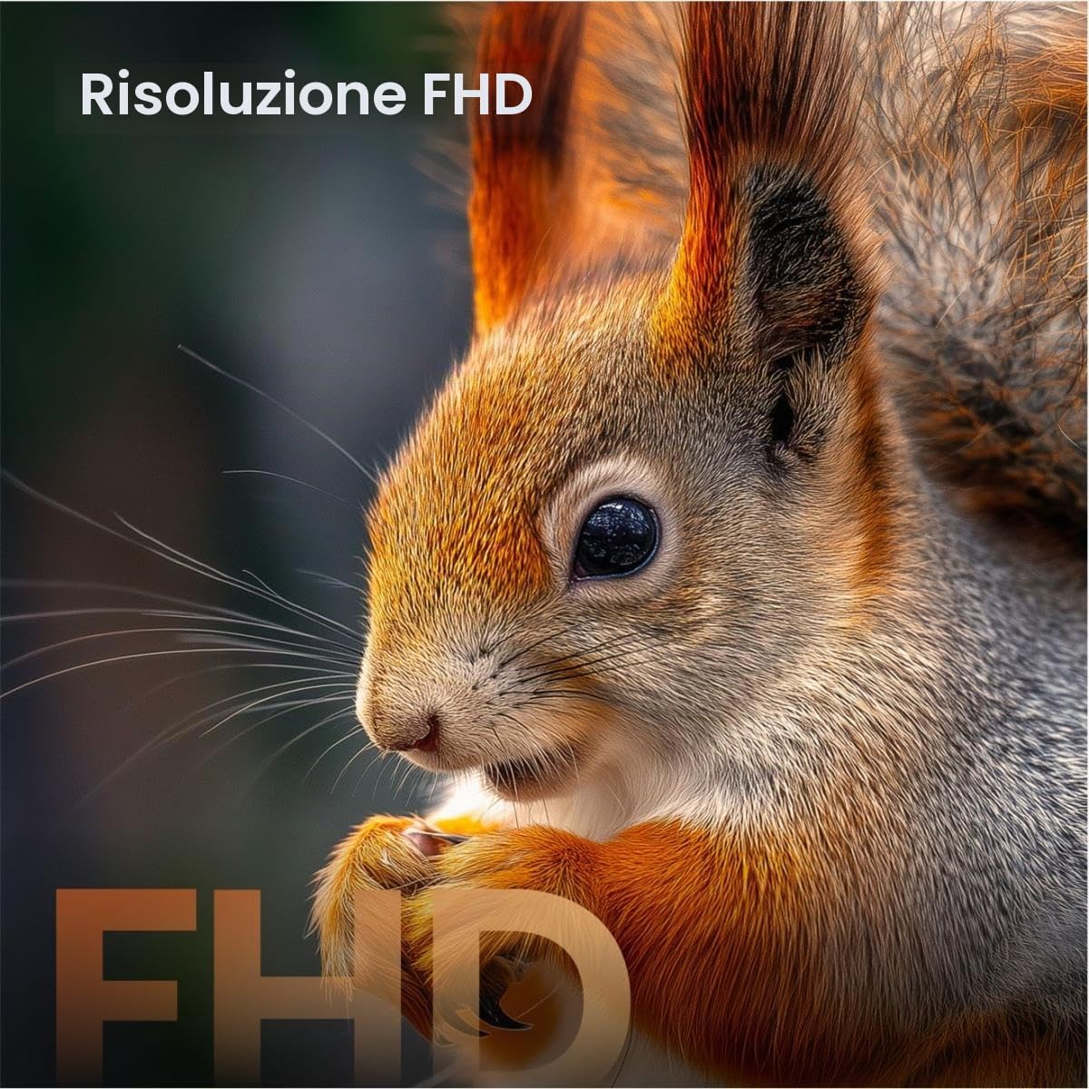 Hisense 40A59S - TV 40 Pollici, Smart TV 4K Full HD QLED DVB-T2 Nero Classe Energetica E