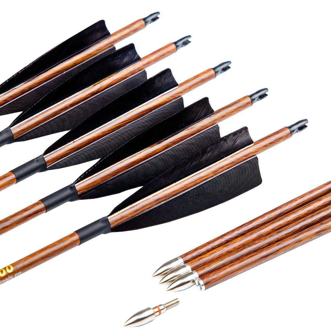 Pinals Traditional Arrows