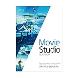 vegas movie studio platinum Filtre de correction des couleurs et stabilisation d'image