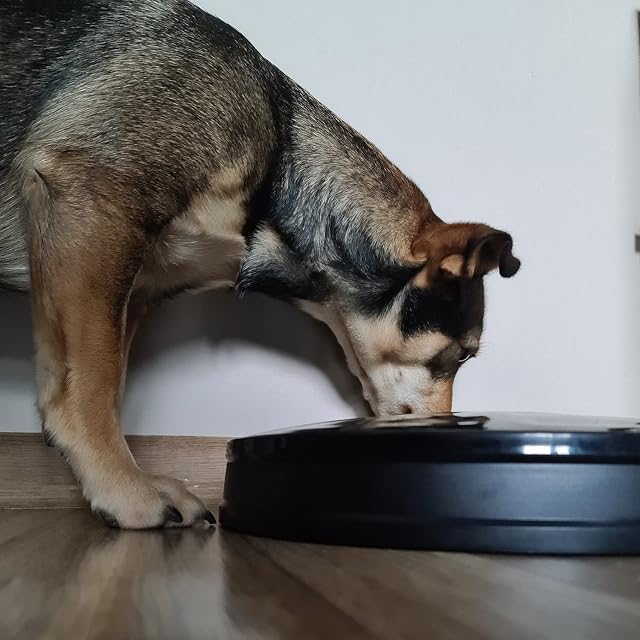 Foto 3 de 8 de Comedero automático para mascotas, 6 cámaras, tazón de alimentación programado, 20759