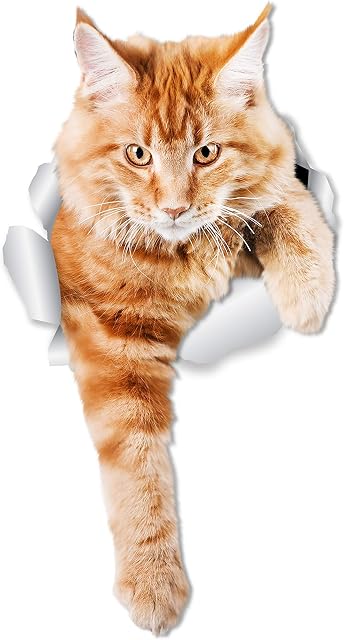 Winston & Bear Climbing Ginger Cat Wall Decals - 2 Pack - Orange Cat Toilet Sticker  3D Cat Car Window and Bumper Sticker - Retail Packaged Orange Cat Lover Gifts