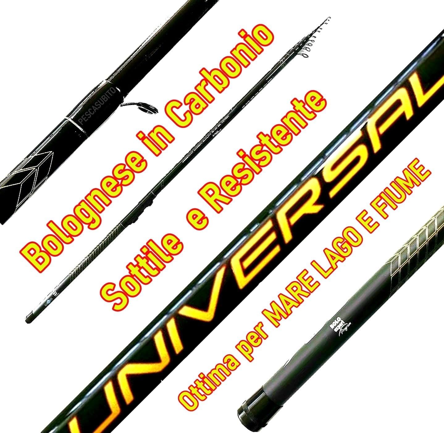 Combo Pesca Bolognese Canna Carbonio 6 Metri Mulinello e Filo Mare Lago Fiume