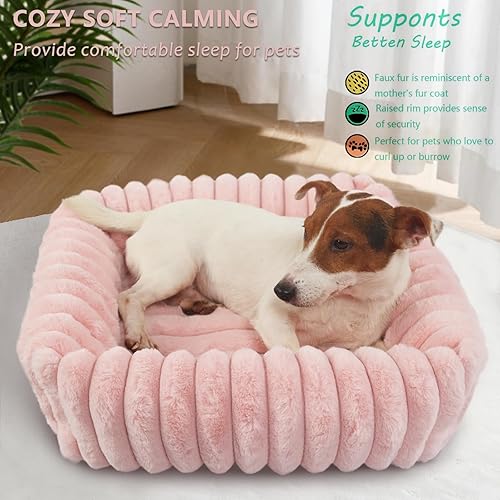 Miniatura 2 de Cute Small Dog Beds for Small Dogs Girl and Cats Washable,Rectangle Cat Bed with Sides Orthopedic Soft Cozy Calming Sleeping Puppy Beds Pink Pet