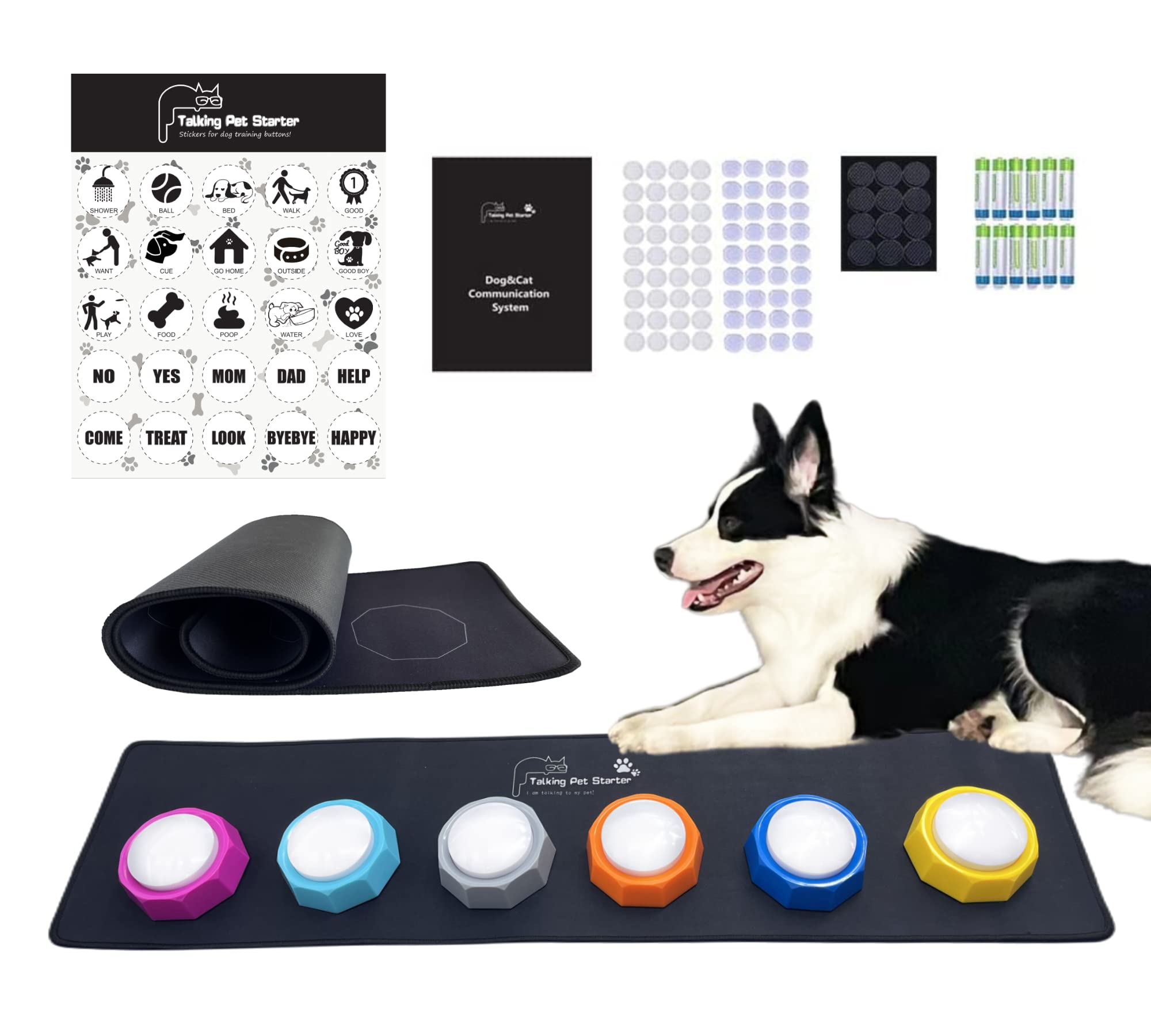 How To Train My Dog To Eat On A Schedule