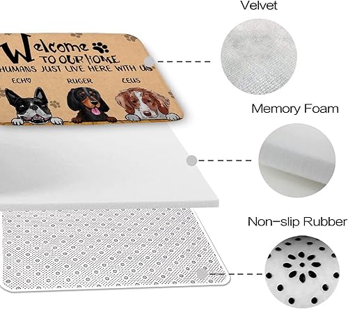 Miniatura 4 de Tapetes para Recamaras - Alfombra grande de 20 x 32 pulgadas con nombre personalizado de bienvenida a perros, alfombras bohemias decorativas de
