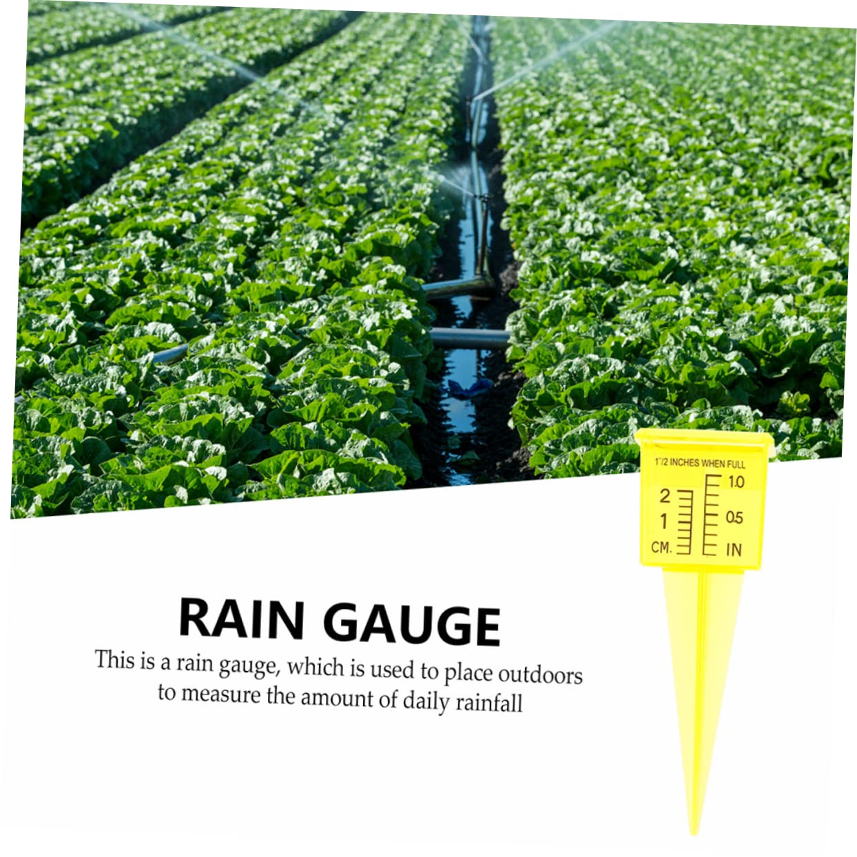 Amosfun 20stücke Regenmesser Aus Kunststoff Präziser Niederschlagsmesser Für Garten Und Outdoor-nutzung Wetterfest Und Langlebig Zur Genauen Überwachung Von Regenmengen