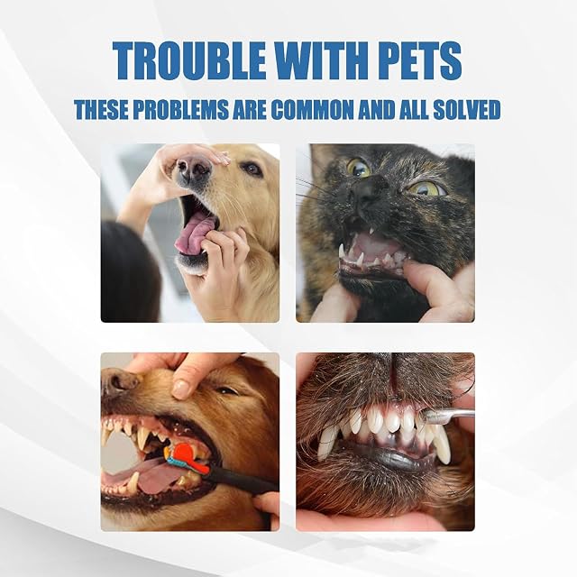 Foto 5 de 8 de HTU Spray eliminador de sarro bucal para Mascotas 60 ml, Espuma limpiadora para Perros y Gatos, 2 Unidades