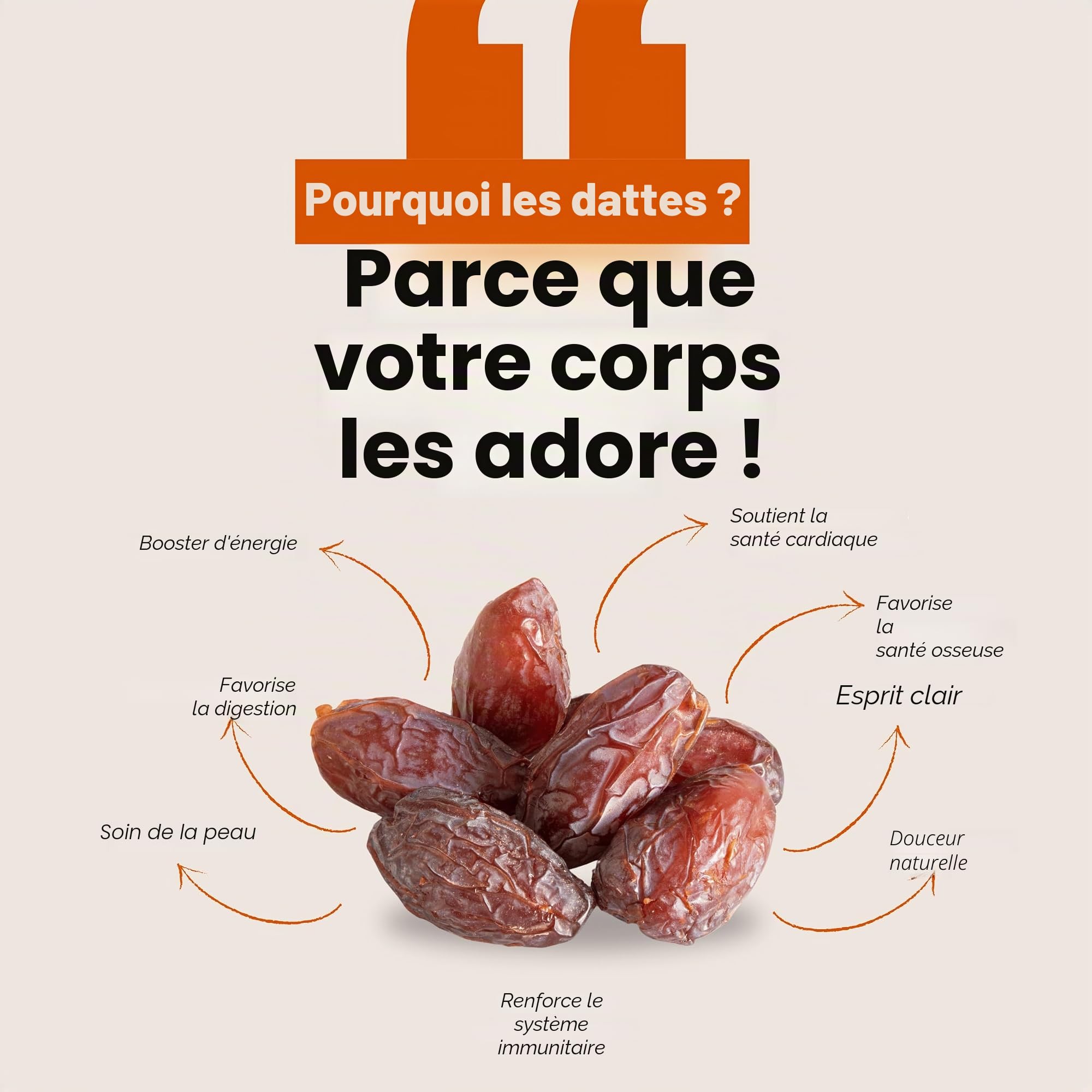 5 kg de dattes Medjoul Jumbo de qualité supérieure | Dattes fraîches 100 % naturelles, sans sucre ajouté, collation saine, source d'énergie, dattes de Palestine (5 kg de dattes Mejoul)