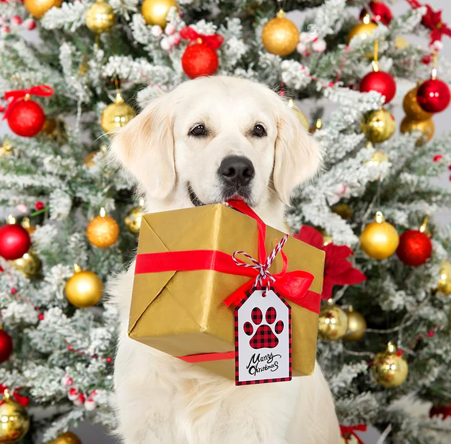 Christmas Gift Tags 100PCS Buffalo Plaid Paper Tags Red and Black Plaid Hang Labels with 65 Feet Jute Twine for Christmas Holiday Present Wrapping Decorations : Health & Household