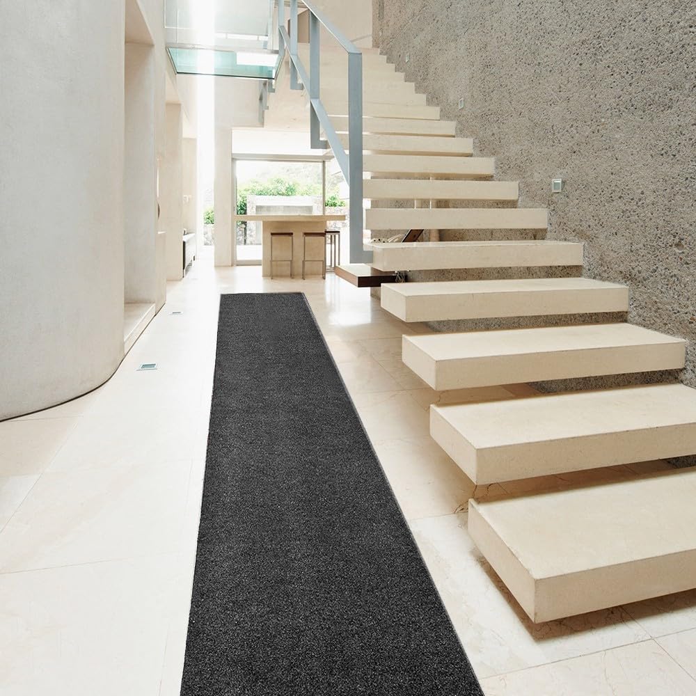 emmevi Tapis d'entrée en moquette avec sèche-cheveux, couleur unie, couloir, trottoir, 100 x 220 cm, anthracite