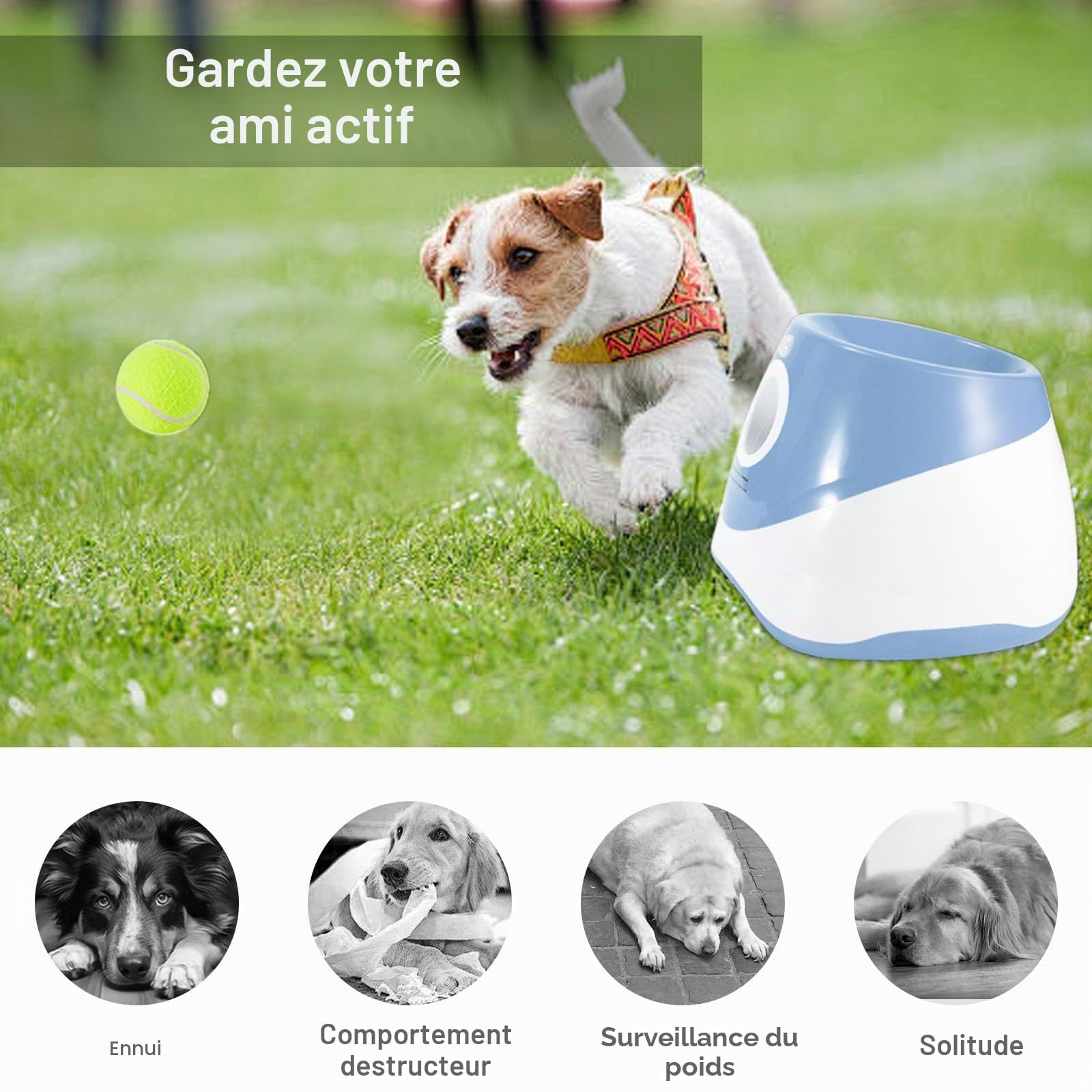 Lanceur de balles automatique pour chien, machine lance-balles avec 6 balles de tennis 5,1 cm, portée 3-9 m