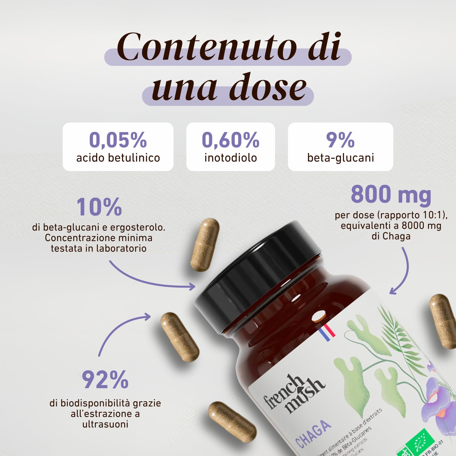 French Mush Funghi Chaga Bio Capsule 8000 mg - Superalimento Antiossidante - Complesso di Funghi Chaga Ricco di Vitamine B, D e K - Fungo Adattogeno - Testato in Laboratorio (56 capsule)