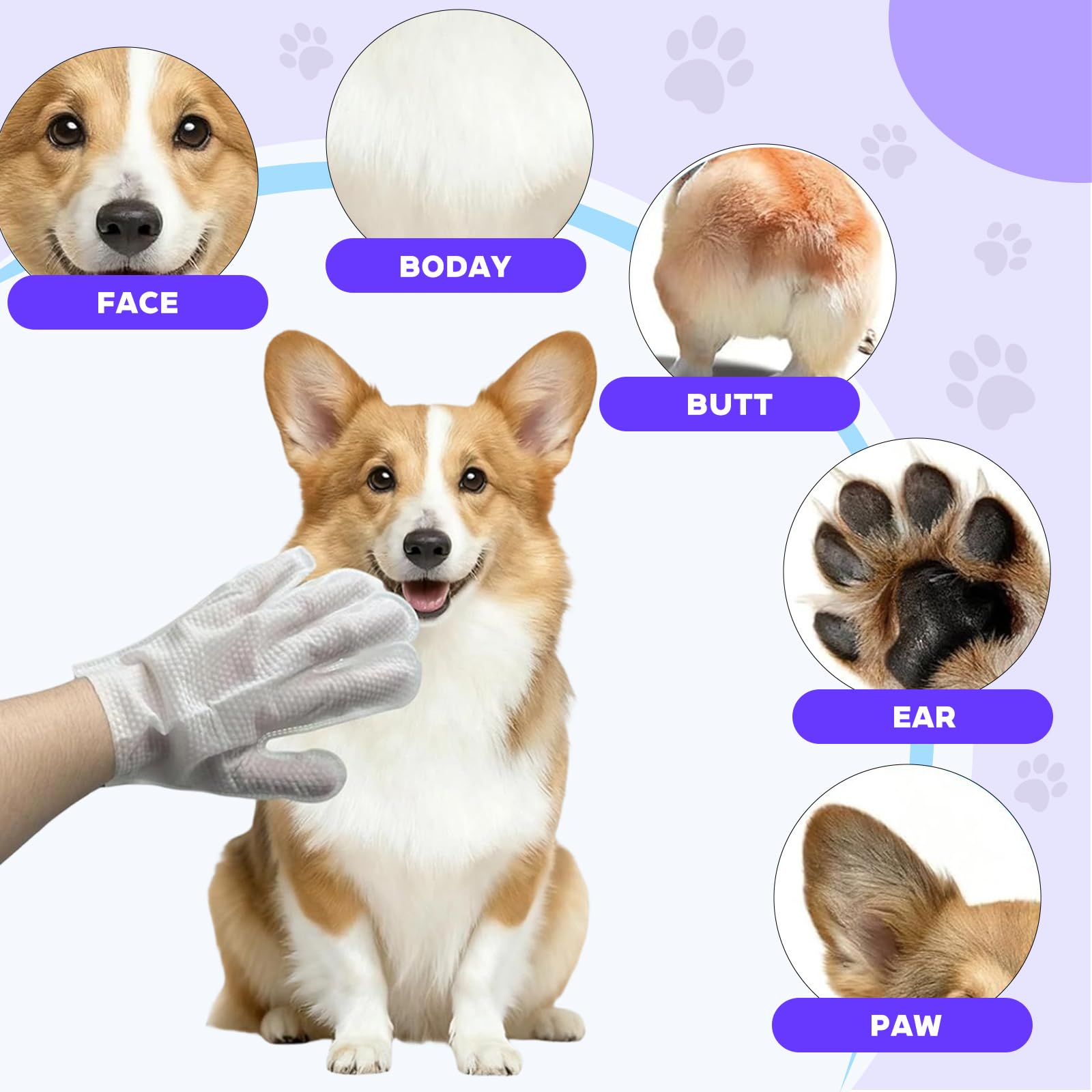 Eulihent 24 Piezas Guantes Limpieza Perro Guantes Lavar Perro Hipoalergénicas Pet Gloves Wipes Guantes Cuidado Mascota para la Limpieza y el Cuidado Diario De Perros y Gatos - 3