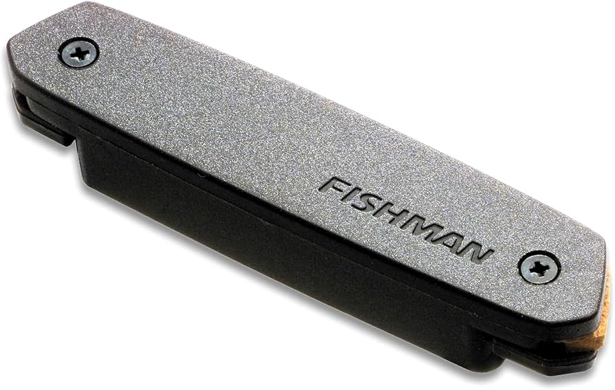 Amazon.com: Fishman Neo-D Humbucking Acoustic Pickup : Musical