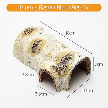 Amazon | Hikigaeru 爬虫類シェルター テラリウム 木 中 隠れ家