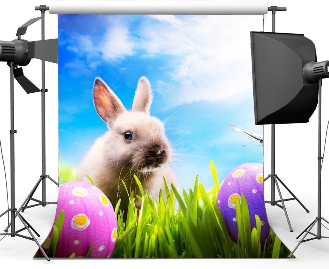 HasdropHappy Easter Backdrop 3X5FT Vinyl Frohe Ostern Backdrops Bunny Eggs Hunt Green Grass Meadow Fresh Floral Butterfly Spring Jesus Christ Photography Background for Kids Photo Studio Props HMM35