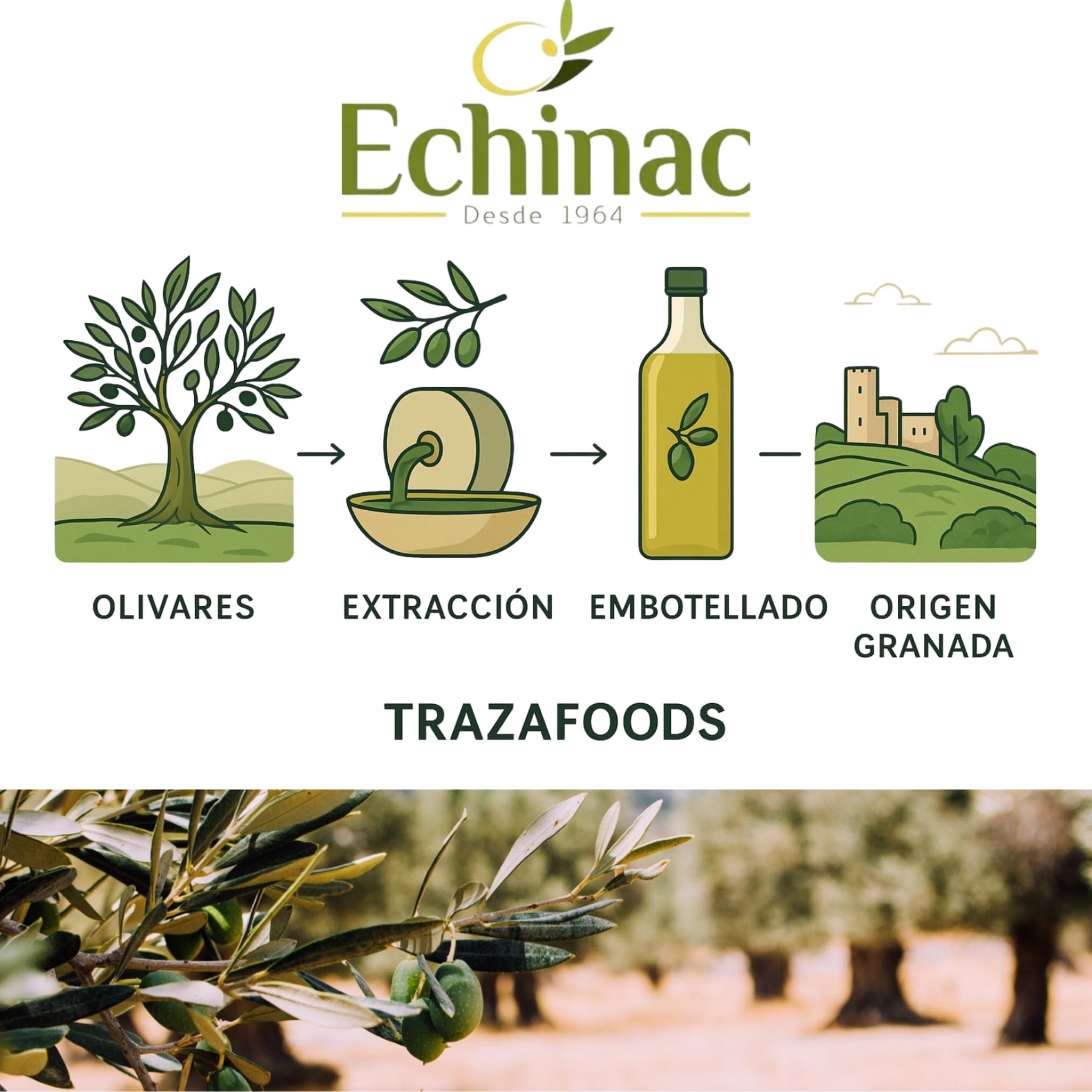 Aceite de Oliva Virgen Extra · ECHINAC Granada Desde 1964 · Lata Opaca 3 Litros · Despensa Familiar
