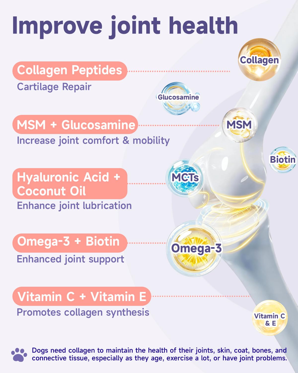 Eagou Diary Colágeno para Perros - Apoyo para Caderas y Articulaciones, Salud de la Piel y el Pelaje, Glucosamina, MSM, Aceite de Coco, Vitaminas C y E, Biotina - Salud Digestiva e Inmunológica, 60ml