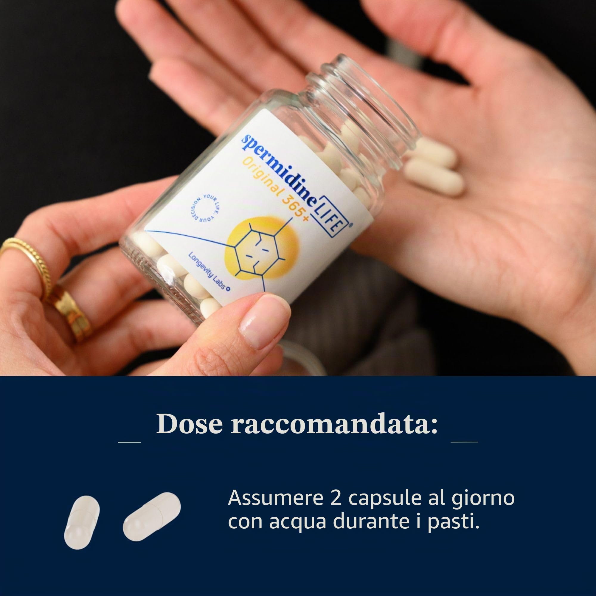 spermidineLIFE Originale 365+ 2 mg di spermidina da CelVio Estratto di germe di grano con zinco e vitamina B1 – Capsule vegane per il supporto quotidiano del rinnovamento cellulare e dell'autofagia