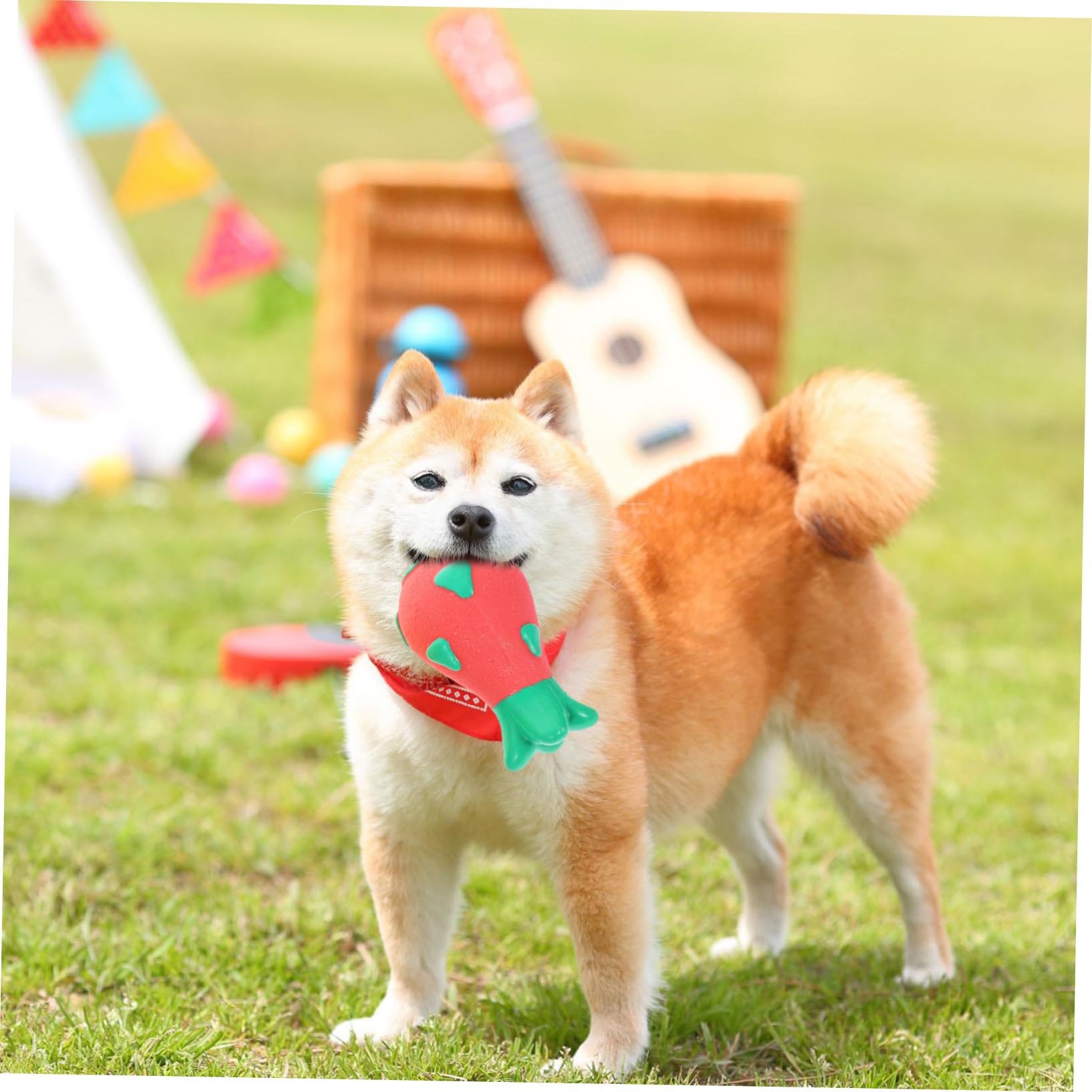 BESPORTBLE 6 Piezas De Juguetes para Masticar para Mascotas Juguete Chirriante para Cachorros Juguete Chirriante para Mascotas Juguetes para Masticar Perros Juguete para Chupete para