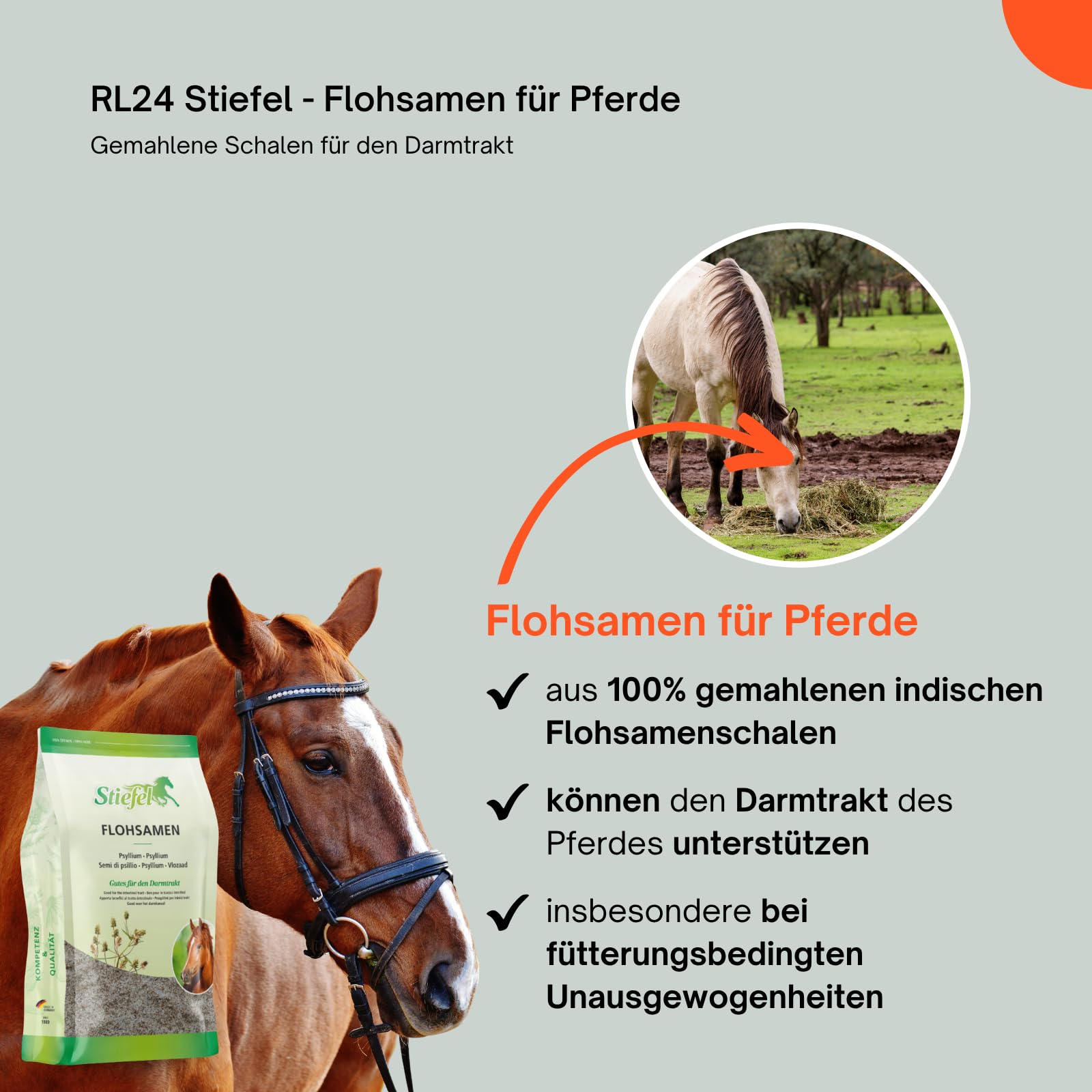 RL24 Stiefel - Flohsamen für Pferde – 5 x 1000 g Beutel (5er Set) | Gemahlene Schalen für Darmtrakt – quellfähige Flohsamenschalen können Selbstreinigungsfunktion des Darms unterstützen