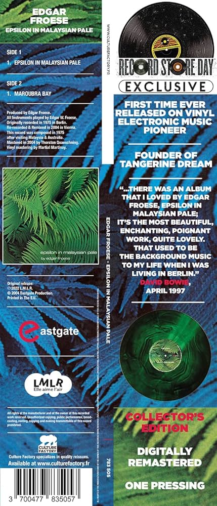 洋楽 Edgar Froese - Epsilon in Malaysian Pale Epsilon In Malaysian Pale (Vinyl): Amazon.ca: Music