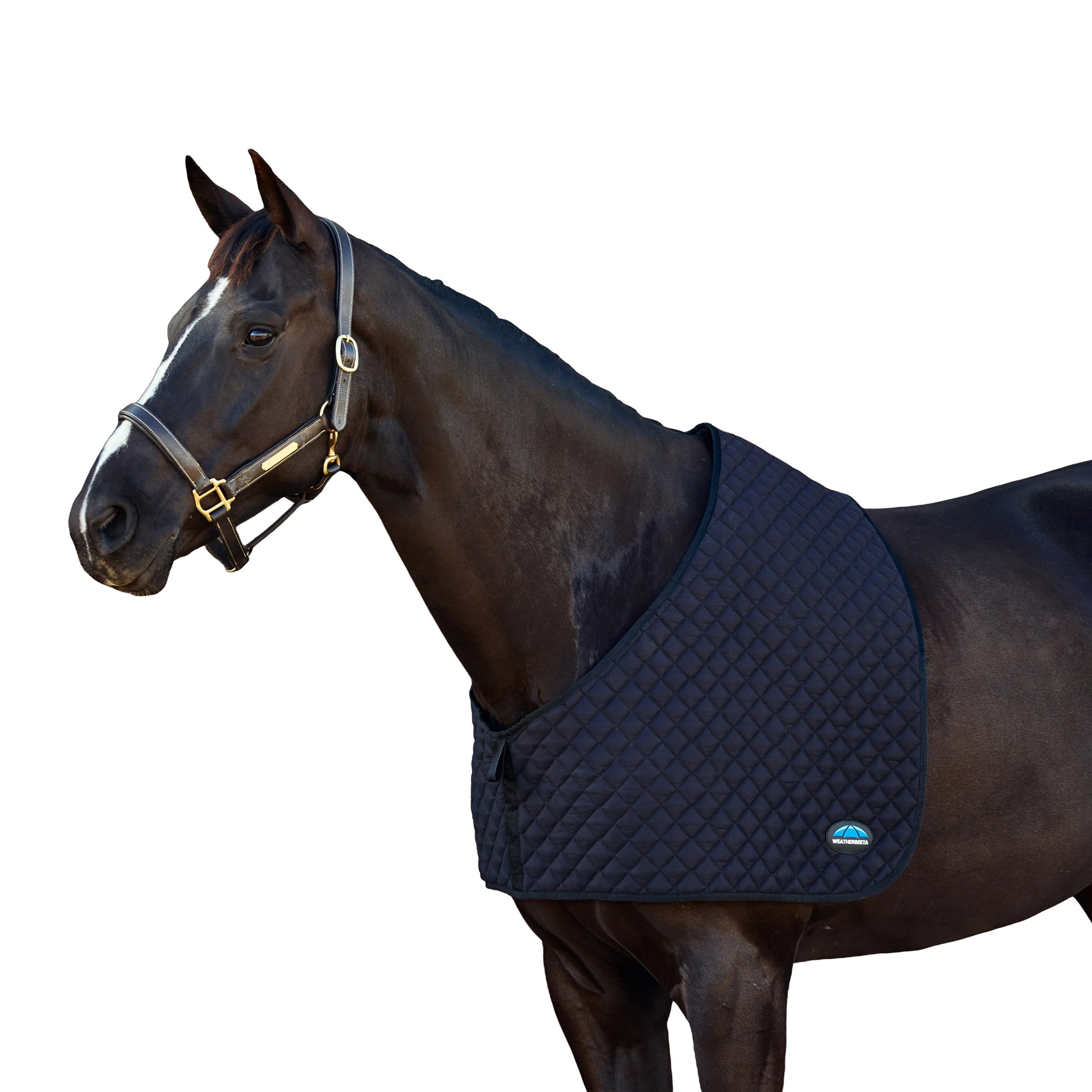 WeatherBeeta Deluxe Shoulder Guard, Black, Cob — image 1