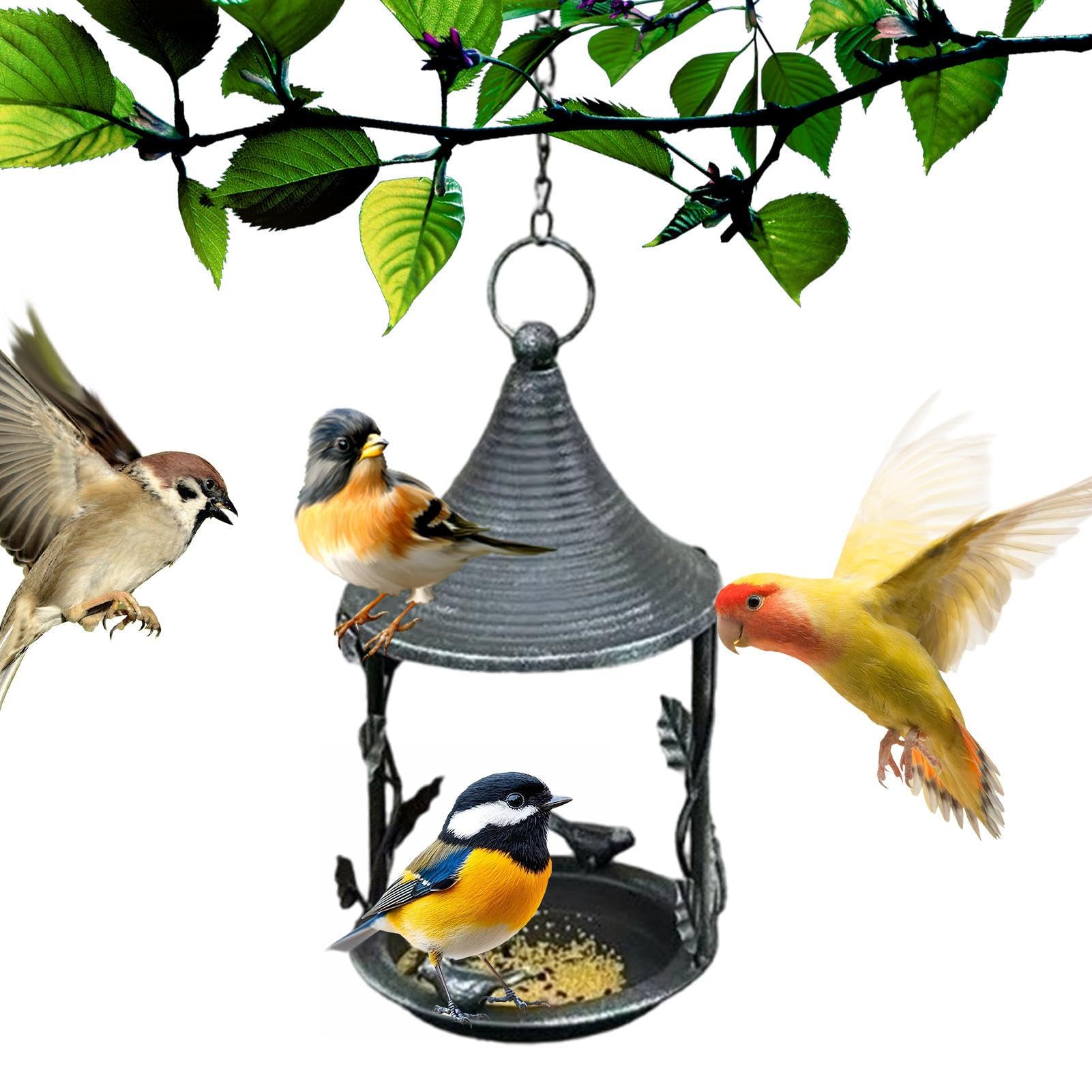 Mangeoire pour oiseaux extérieur distributeur graines oiseaux sauvages