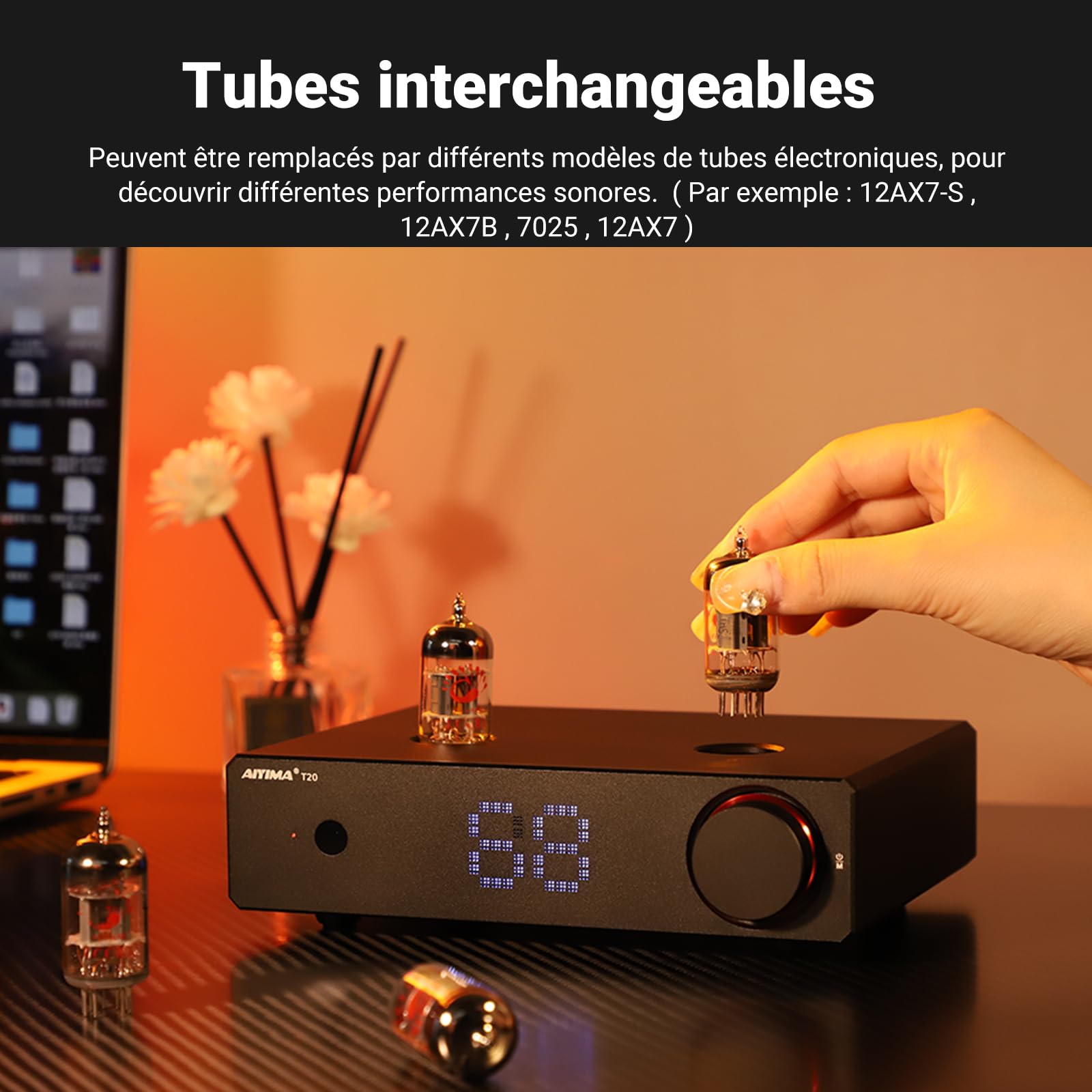 Préamplificateur à Tube entièrement équilibré AIYIMA T20 LME49720 pour HiFi Home Audio Mini préamplificateur à Tube à Vide avec entrées et Sorties RCA et XLR et Sortie de déclenchement 12 V
