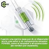Ver la foto 2