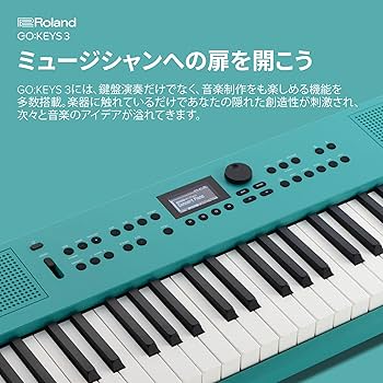 Amazon.co.jp: Roland ローランド 電子キーボード GOKEYS3-TQ 61