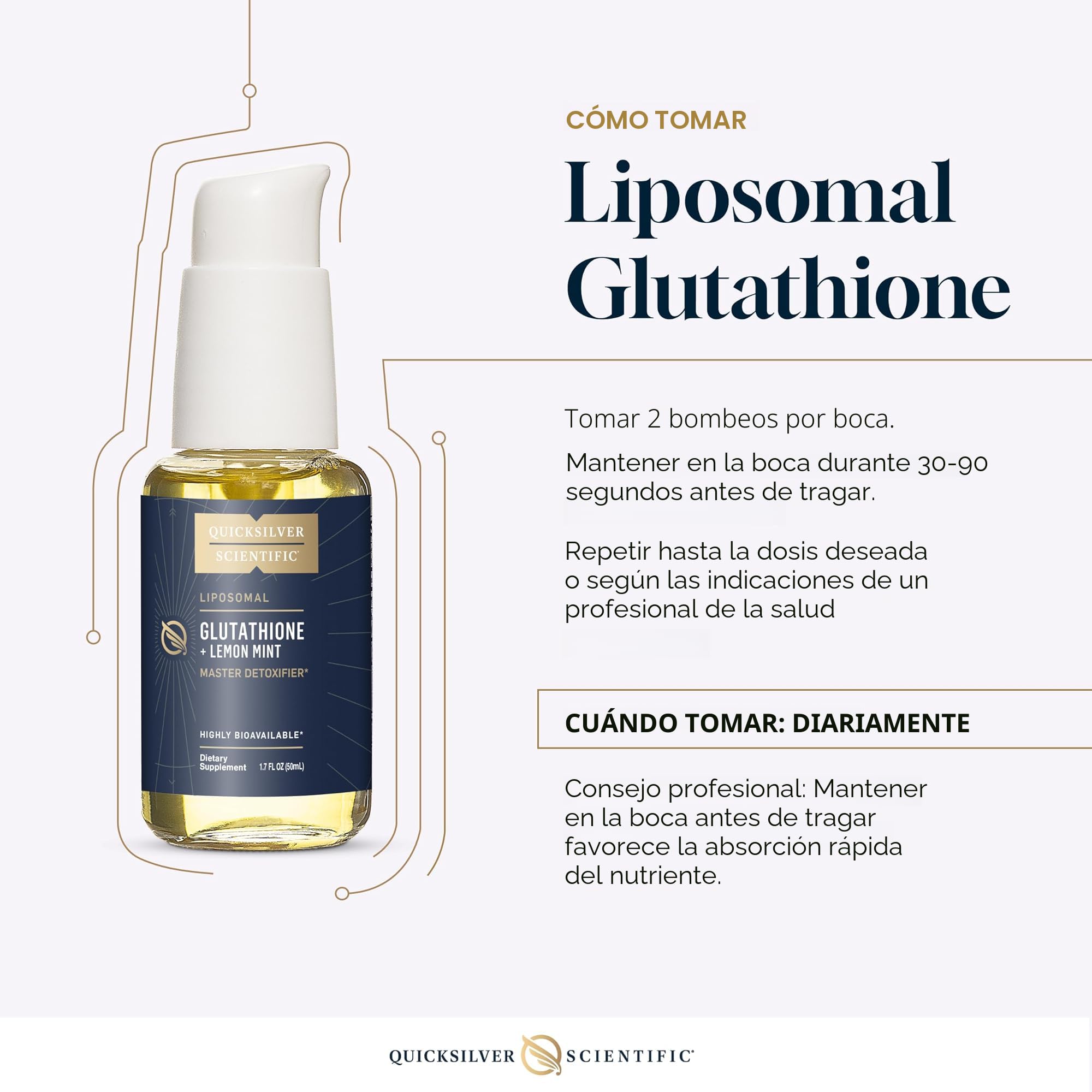 Amazon.com: Glutatión Liposomal líquido de Quicksilver Scientific, 1,7  onzas : Salud y Hogar