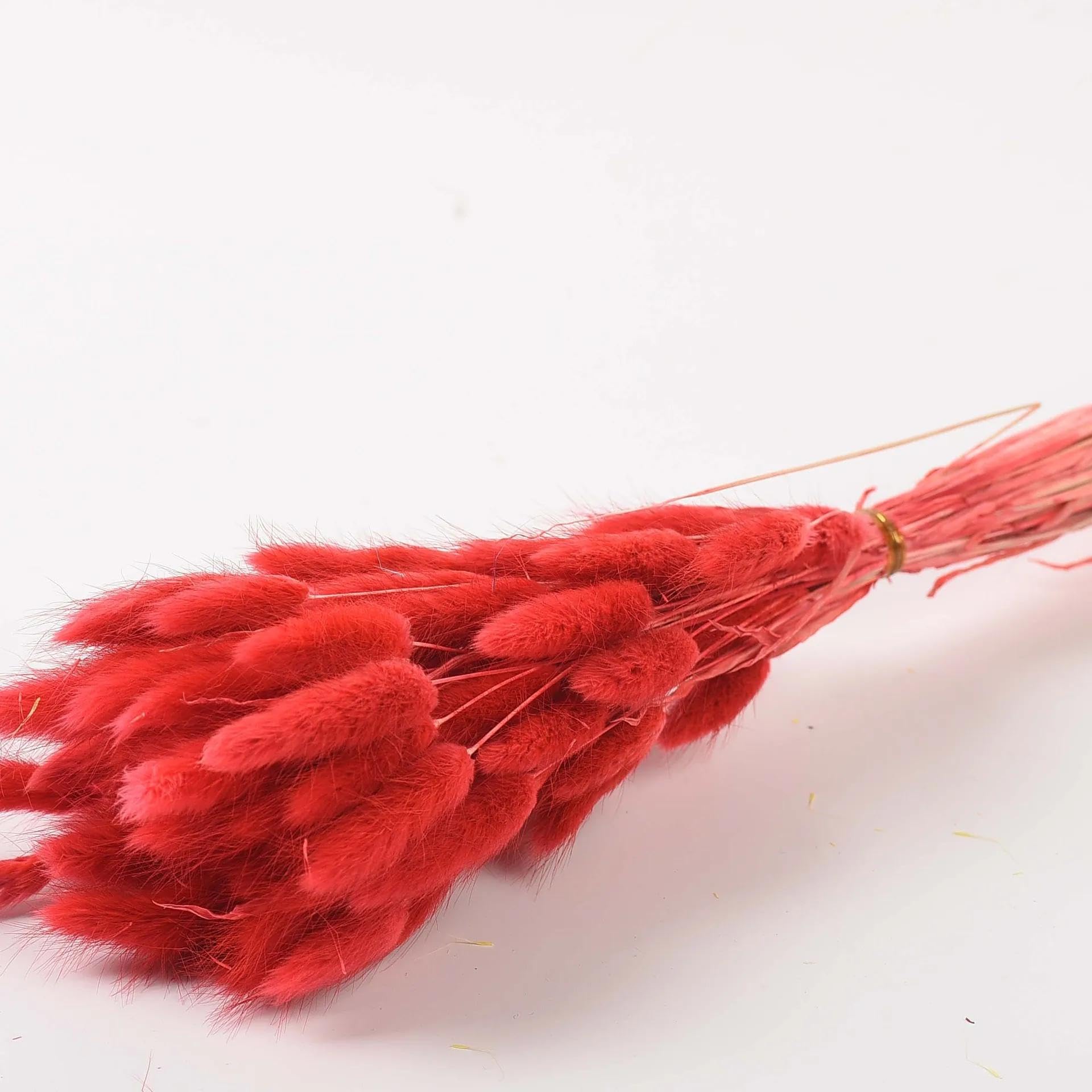 Flores secas,50 Piezas 35cm Hierba de Pampas Seca Natural Cola de Conejo Rama de Flores Fiesta Boda Flores Ramo decoración del hogar Rojo