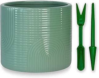 Elegant 6 Inch Ceramic Flower Pot – Indoor & Outdoor Planter for Succule...