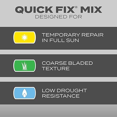Miniatura 3 de Scotts Turf Builder - Mezcla de semillas de césped de fijación rápida para césped temporal germina en 4-7 días 3 libras