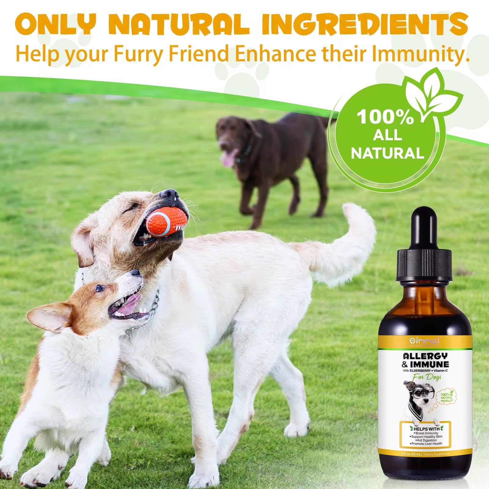 CARO Organics Allergy & Immune for dogs Itchy Skin Relief Anti Inflammatory Supplement, Boost Immunity, Support Healthy Skin - Image 2